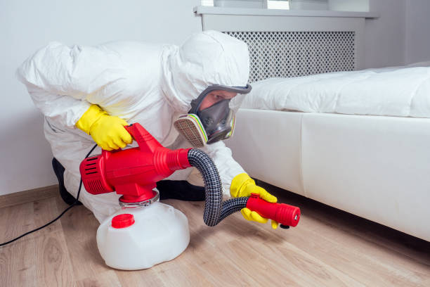 Best Flea Control Services  in USA